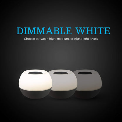 Color-Changing LED Lamp, Modern Night Light, Dimmable White & Vibrant RGB, Touch Sensor On/Off, Compact, Ideal for Bedside, Office, Dorm, Kid'S Room, Gray, 48080