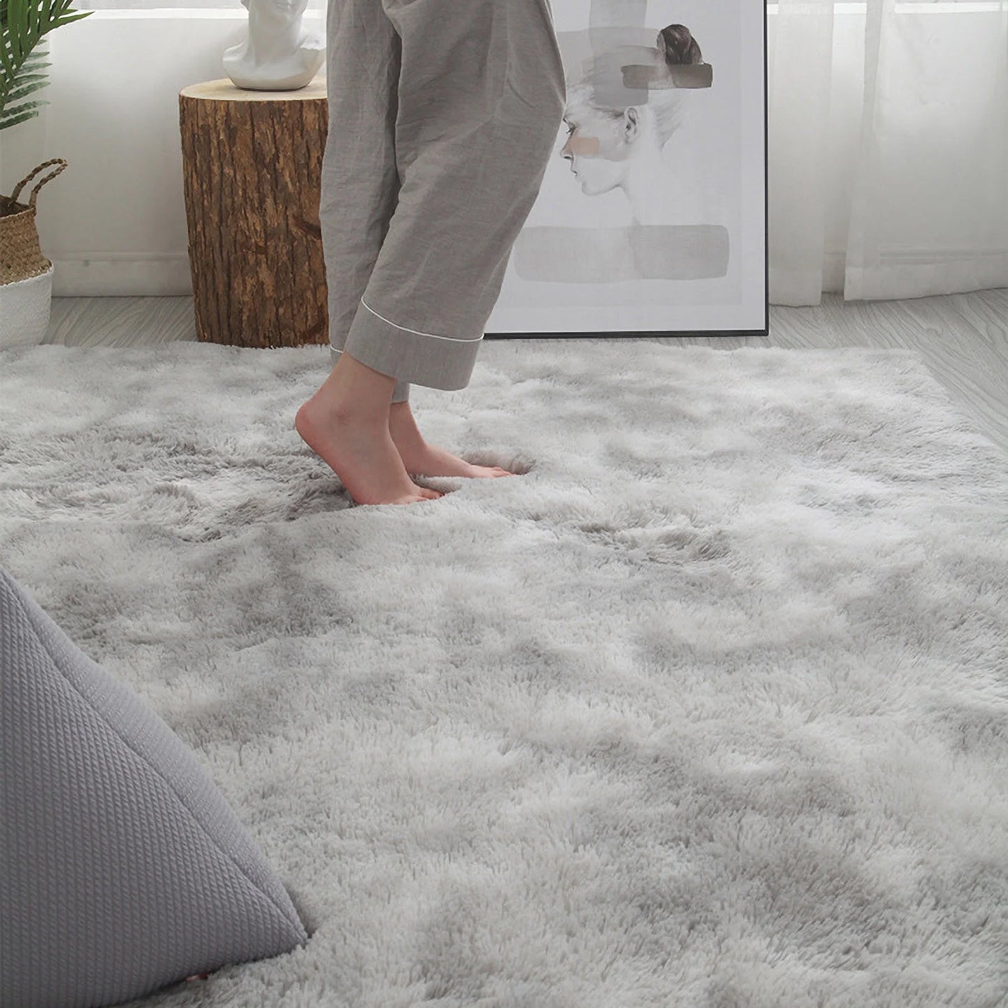 Ultra Soft Shaggy Area Rugs for Bedroom Living Room Plush Carpet Floor Mat Indoor Plush Fluffy Area Rugs for Home Decor,5.2'X2.6'